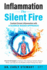 Inflammation the Silent Fire