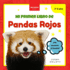 Mi Primer Libro de Pandas Rojos: Curiosidades y actividades sobre pandas rojos para nios 3-5 aos