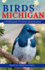 Birds Of Michigan: A Field Guide To Bird Identification