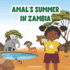 Amal's Summer in Zambia