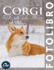 Corgi: Fotolibro - oltre 100 immagini HD