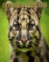 Clouded Leopard: Amazing Picture and Facts About Clouded Leopard for Children's