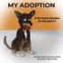 My Adoption