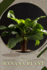 Banana Plant: Prodigy Petal, Plant Guide