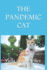 Pandemic Cat ( Academic Vocabulary Grades 2-4)