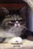 My Address Book: Grumpy Cat | Address Book for Names, Addresses, Phone Numbers, E-Mails and Birthdays