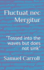 Fluctuat nec Mergitur: "Tossed into the waves but does not sink"