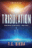 Tribulation: Book Three (Sanctum of Aevum)