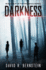 Darkness: Book Four in the Influence Series