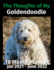 The Thoughts of My Goldendoodle: 18 Month Planner Jan 2021-June 2022