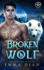 Broken Wolf: a Paranormal Shifter Romance (the Blue Mountain Wolf Pack)