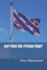 Isn't that the Frisian flag?