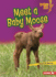 Meet a Baby Moose Format: Paperback