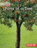 Parts of a Tree Format: Library Bound