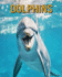 Dolphins: Amazing Photos and Fun Facts Book