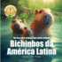 Bichinhos da Amrica Latina: Um livro para crianas que amam animais (Portuguese Version)