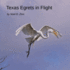 Texas Egrets in Flight