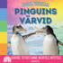 Noorem Vikerkaar, Pinguins Vrvid: Vrvide tutvustamine noortele mtetele