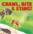 Crawl, Bite & Sting! Deadly Insects Insects for Kids Encyclopedia Children's Bug & Spider Books