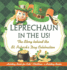 Leprechaun In The US! The Story behind the St. Patrick's Day Celebration - Holiday Book for Kids Children's Holiday Books