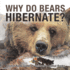 Why Do Bears Hibernate? Animal Book Grade 2 Children's Animal Books