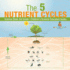 The 5 Nutrient Cycles - Science Book 3rd Grade Children's Science Education books