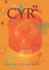 CYR11 [Seer Eleven]: The Orange Layer in Light's Prism Mirror Series