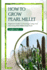 How to Grow Pearl Millet: Beginners guide to growing, caring and harvesting pearl Millet from seed