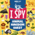 I Spy: Animal Kingdom Quest: Childrens Book