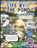 Life By The Pond, Kids k-12, Aquatic, Semi-Aquatic Wild Life Coloring Book: Educational Coloring Book