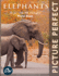 Elephants: Picture Perfect Photo Book