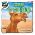 Animals in the Sand (Animal Fact Files)