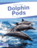 Dolphin Pods (Animal Teams)