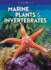 Marine Plants & Invertebrates