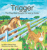 Trigger: The Dog that thought He was a Horse