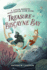 Treasure of Biscayne Bay: A Junior Rangers Investigative Club Novel