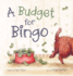 A Budget for Bingo