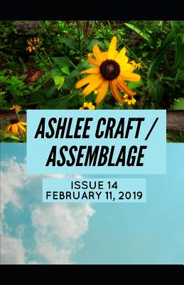 Issue 14 (Ashlee Craft / Assemblage) - Craft, Ashlee