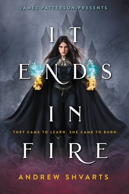 It Ends in Fire - Shvarts, Andrew