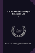 It is no Wonder: A Story of Bohemian Life: 3