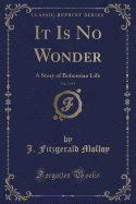 It Is No Wonder, Vol. 3 of 3: A Story of Bohemian Life (Classic Reprint)