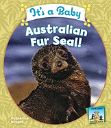 It's a Baby Australian Fur Seal!