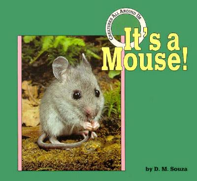 It's a Mouse! - Souza, Dorothy M