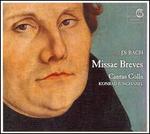 J.S. Bach: Missae Brevis