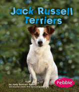 Jack Russell Terriers