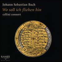 Johann Sebastian Bach: Wo soll ich fliehen hin - Cellini Consort