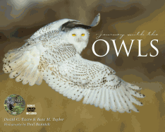 Journey with the Owl