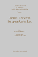 Judicial Review in European Union Law