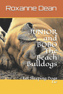 JUNIOR and BOBO The Beach Bulldogs: Let Sleeping Dogs Lie