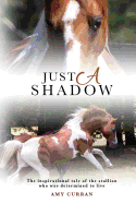 Just a Shadow